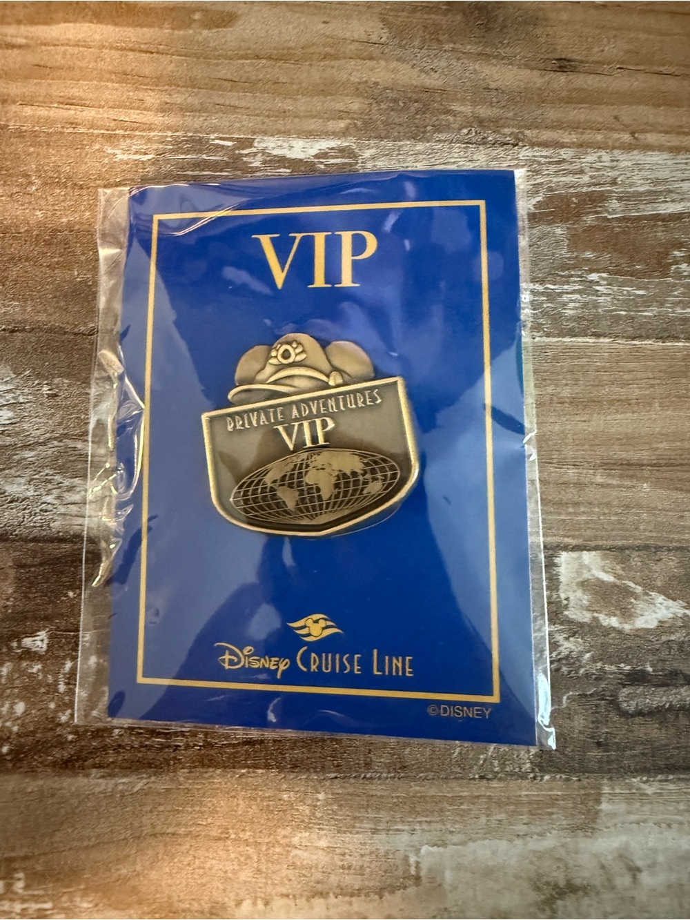 Disney VIP Private Adventures Gold Pin